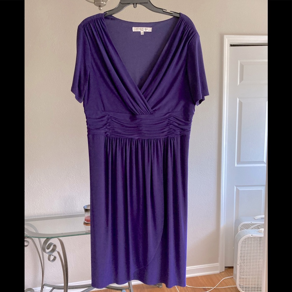 Women’s Evan Picone Dress